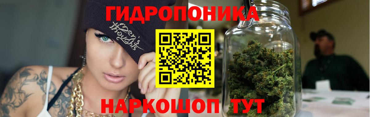 Шишки марихуана LSD WEED  Конопля планчик  Элиста  Конопля Amnesia  Вход с VPN  Конопля планчик 